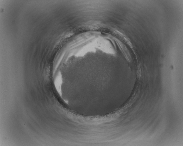 X0000076270018200610191751