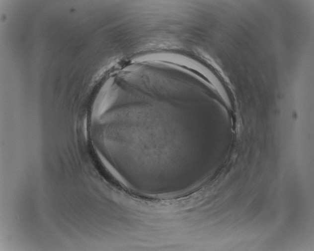 X0000076270019200610191751