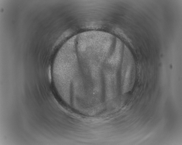 X0000076270020200610191751