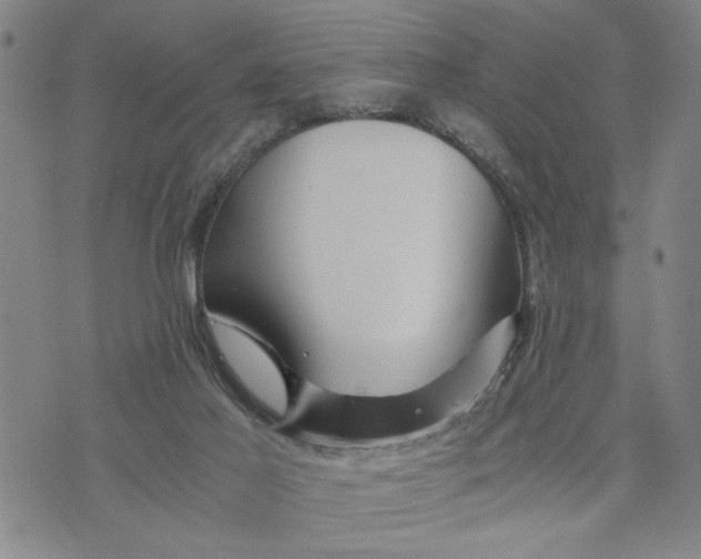 X0000076270021200610191751