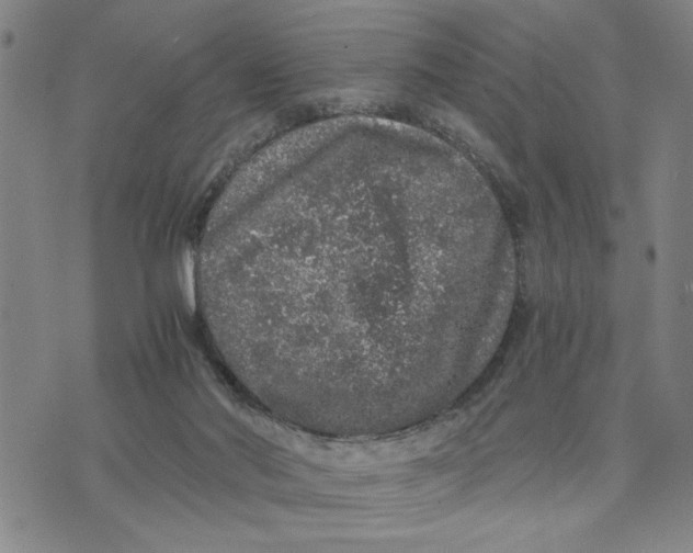 X0000076270022200610191751