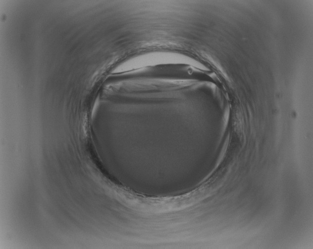 X0000076270023200610191751