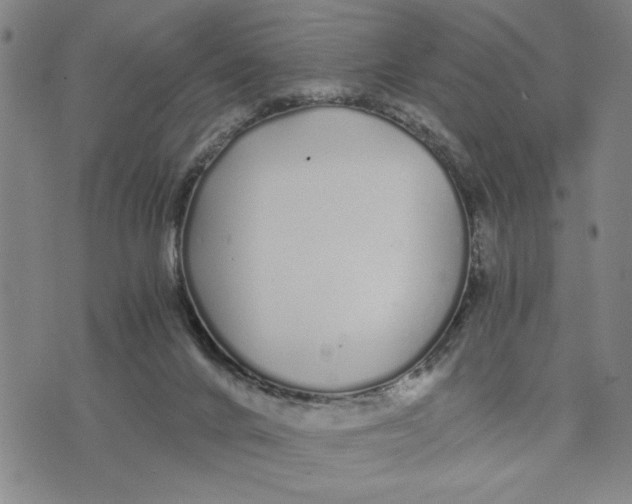 X0000076270024200610191751