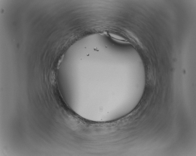 X0000076270025200610191751