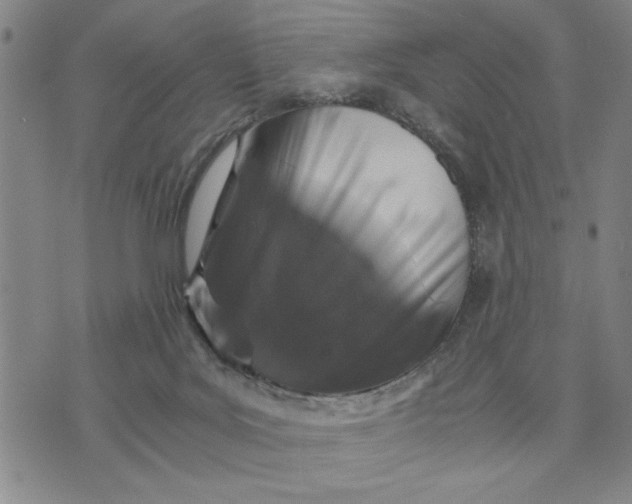 X0000076270027200610191751