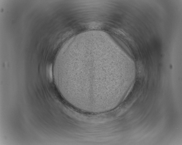 X0000076270028200610191751