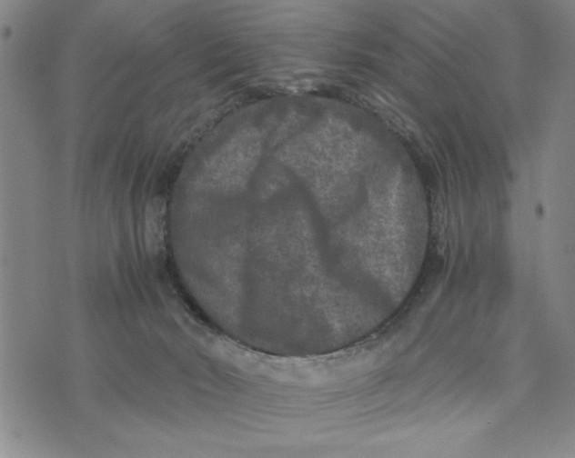 X0000076270030200610191751