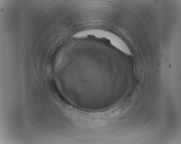 X0000076270031200610191751