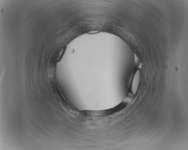 X0000076270033200610191751