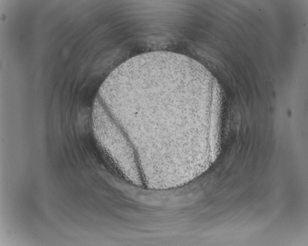 X0000076270034200610191751