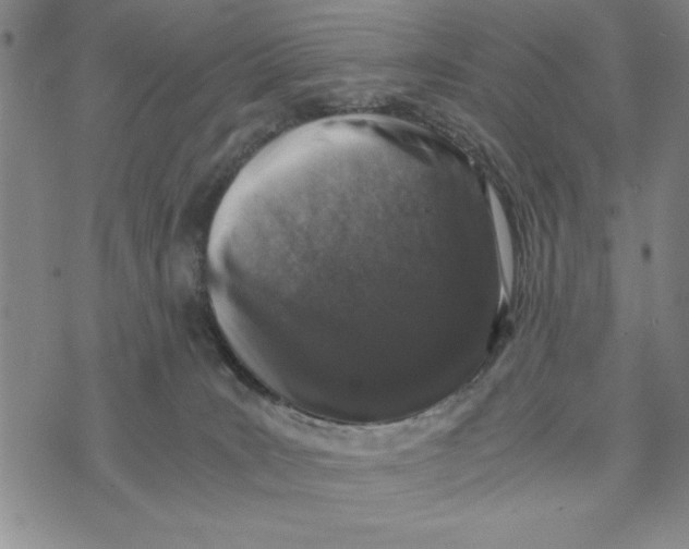 X0000076270035200610191751