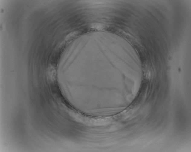 X0000076270036200610191750