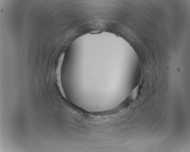 X0000076270037200610191750