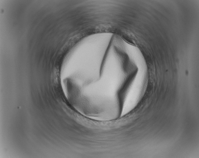 X0000076270038200610191750