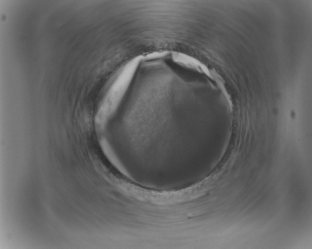 X0000076270039200610191750