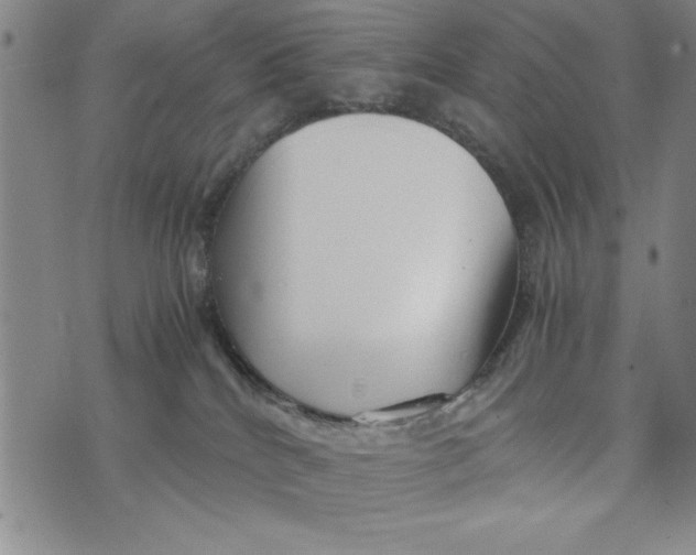 X0000076270040200610191750