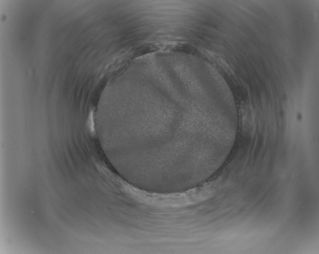 X0000076270042200610191750