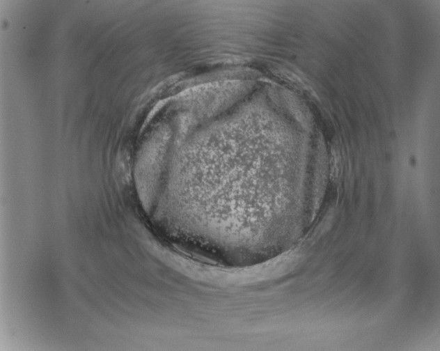 X0000076270043200610191750