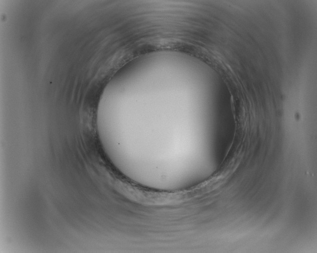 X0000076270044200610191750