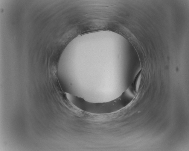 X0000076270045200610191750