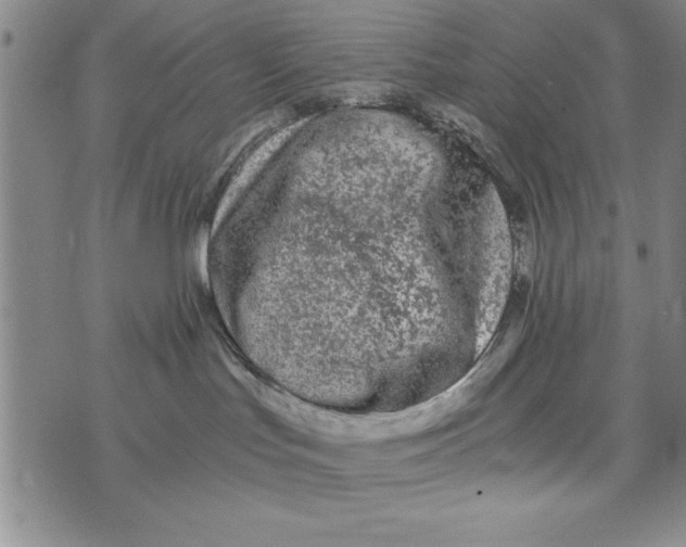 X0000076270047200610191750