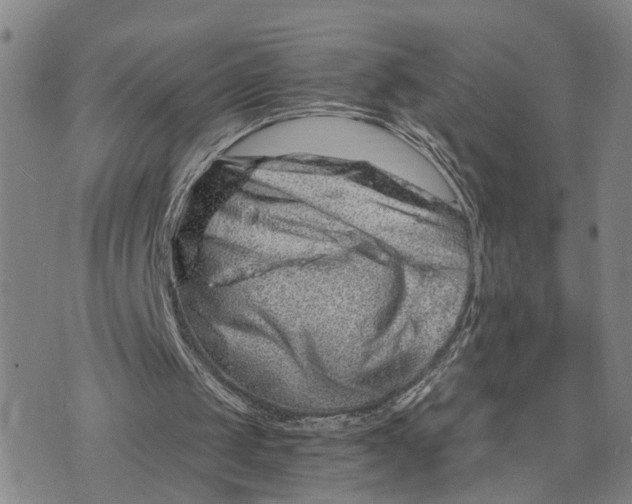 X0000076270049200610191750