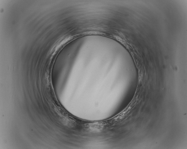 X0000076270050200610191750