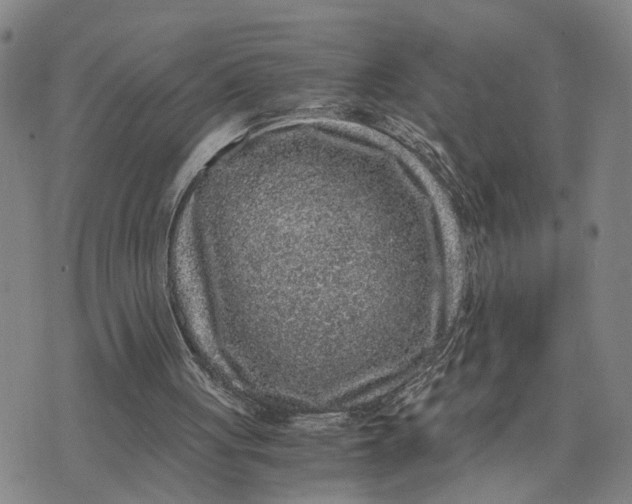 X0000076270051200610191750