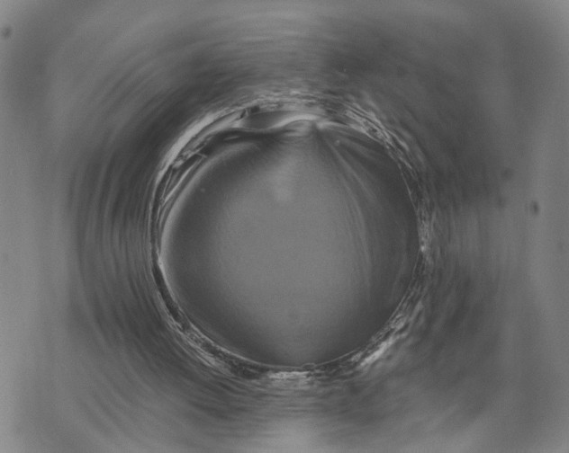 X0000076270052200610191750