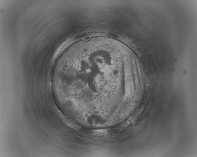 X0000076270053200610191750