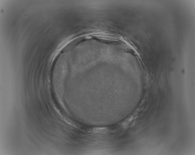 X0000076270055200610191750