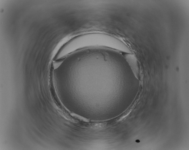 X0000076270056200610191750