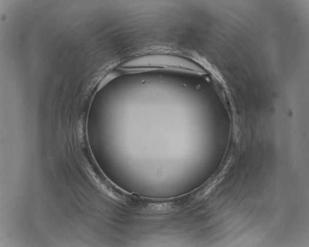 X0000076270057200610191750