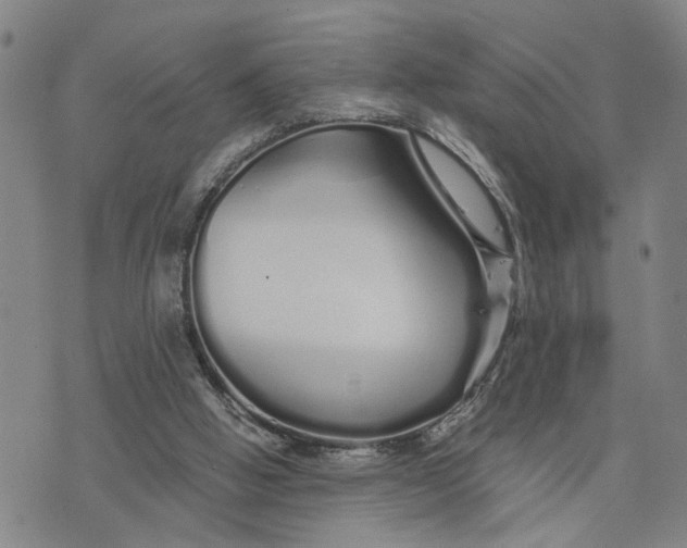 X0000076270058200610191750