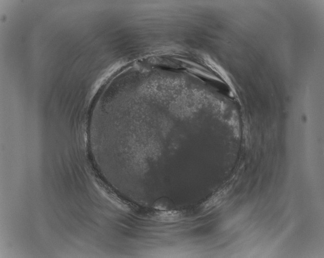 X0000076270059200610191750