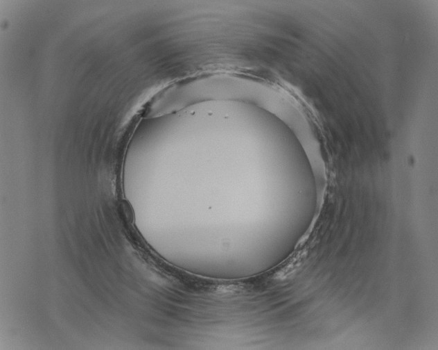 X0000076270060200610191750