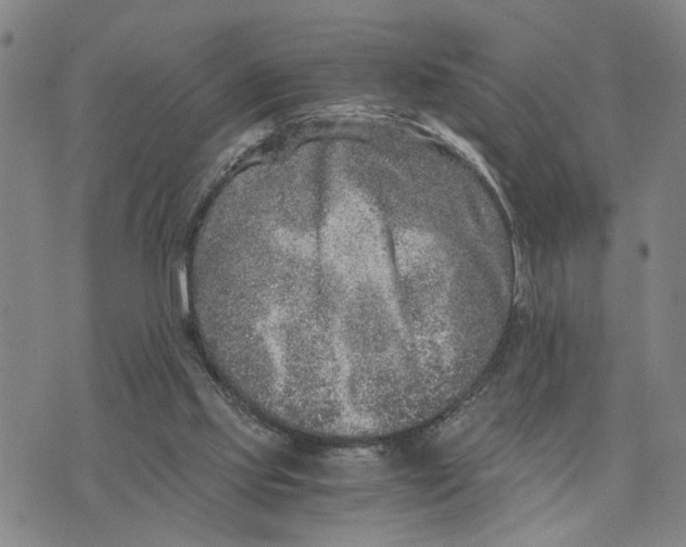 X0000076270061200610191750