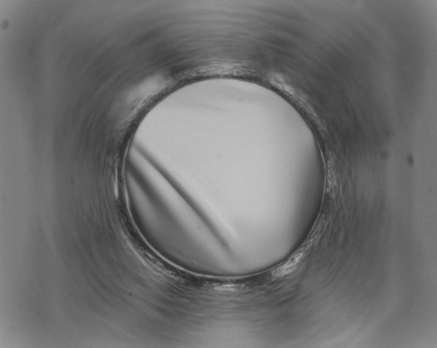 X0000076270062200610191750