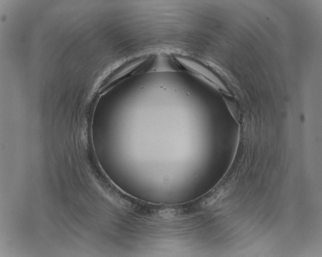 X0000076270064200610191750