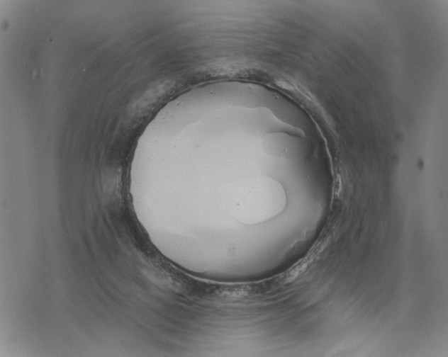 X0000076270066200610191750