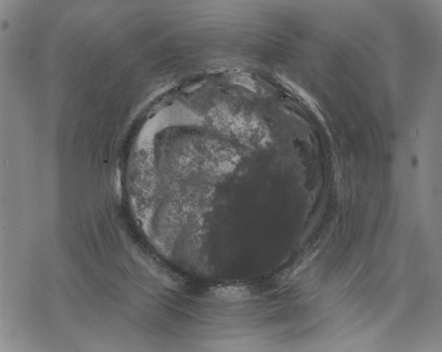 X0000076270067200610191750