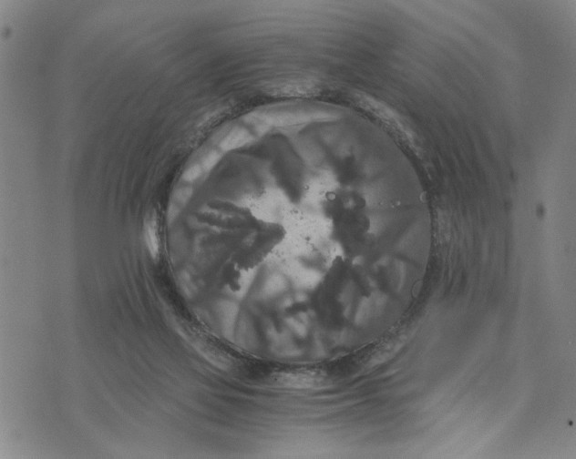 X0000076270069200610191750