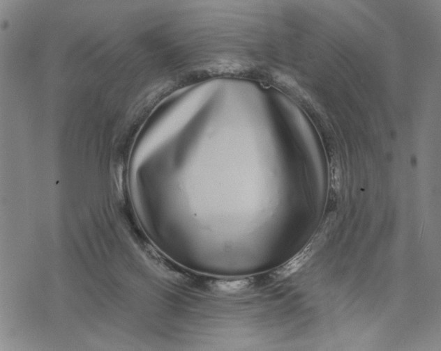 X0000076270070200610191750