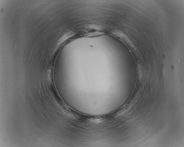 X0000076270071200610191750