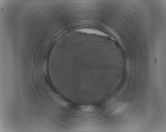 X0000076270073200610191750