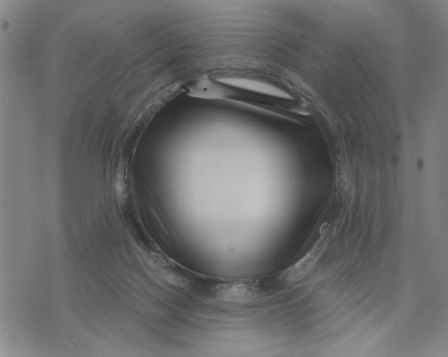 X0000076270074200610191750