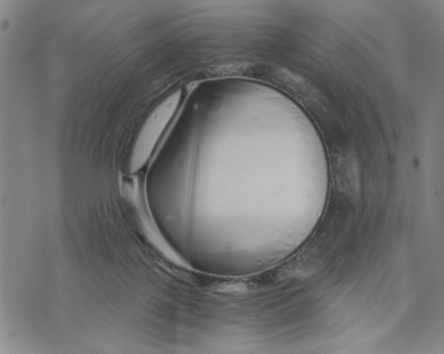 X0000076270075200610191750