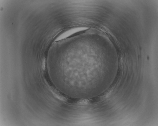 X0000076270076200610191750