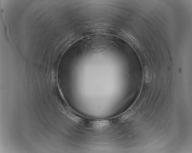 X0000076270077200610191750