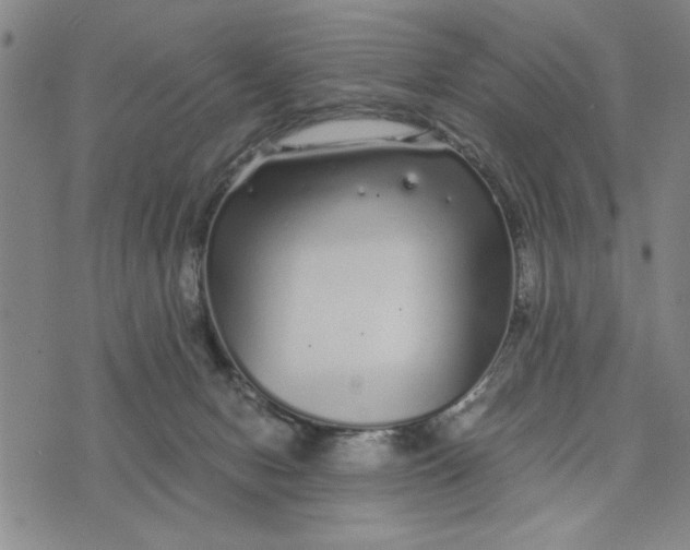 X0000076270078200610191750